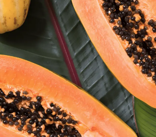 Papaya Seed Powder